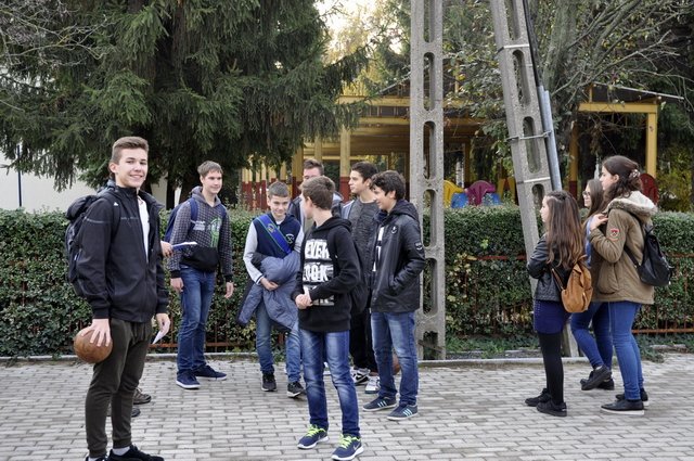 csibetábor az aranyban 01